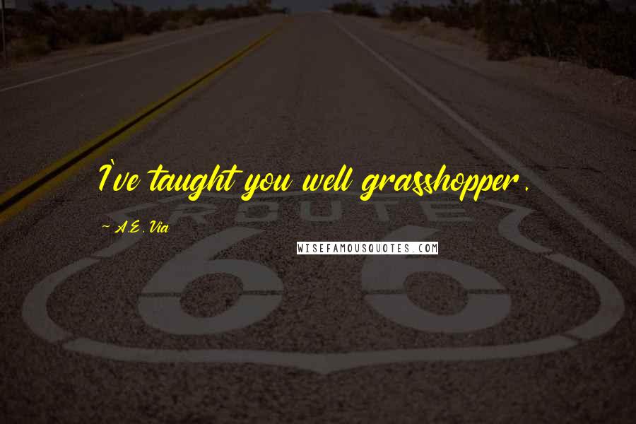 A.E. Via Quotes: I've taught you well grasshopper.