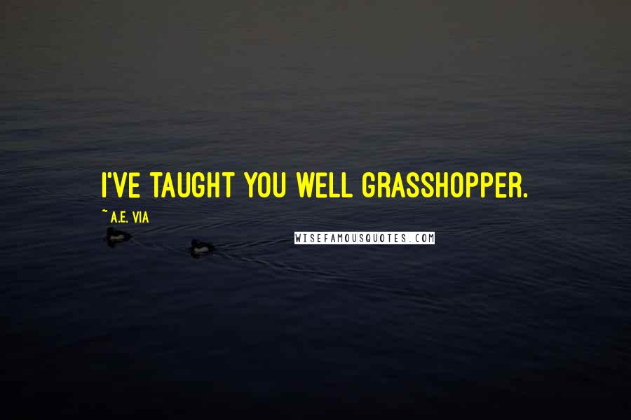 A.E. Via Quotes: I've taught you well grasshopper.