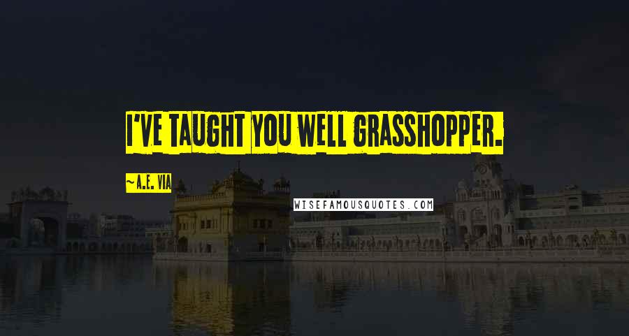 A.E. Via Quotes: I've taught you well grasshopper.