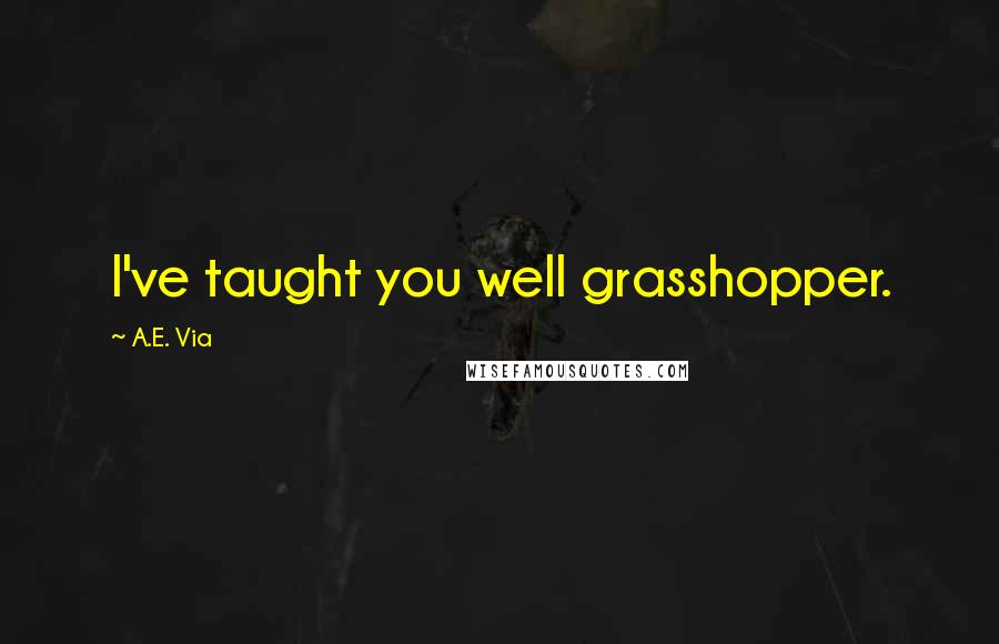 A.E. Via Quotes: I've taught you well grasshopper.