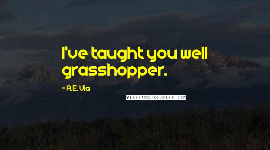 A.E. Via Quotes: I've taught you well grasshopper.