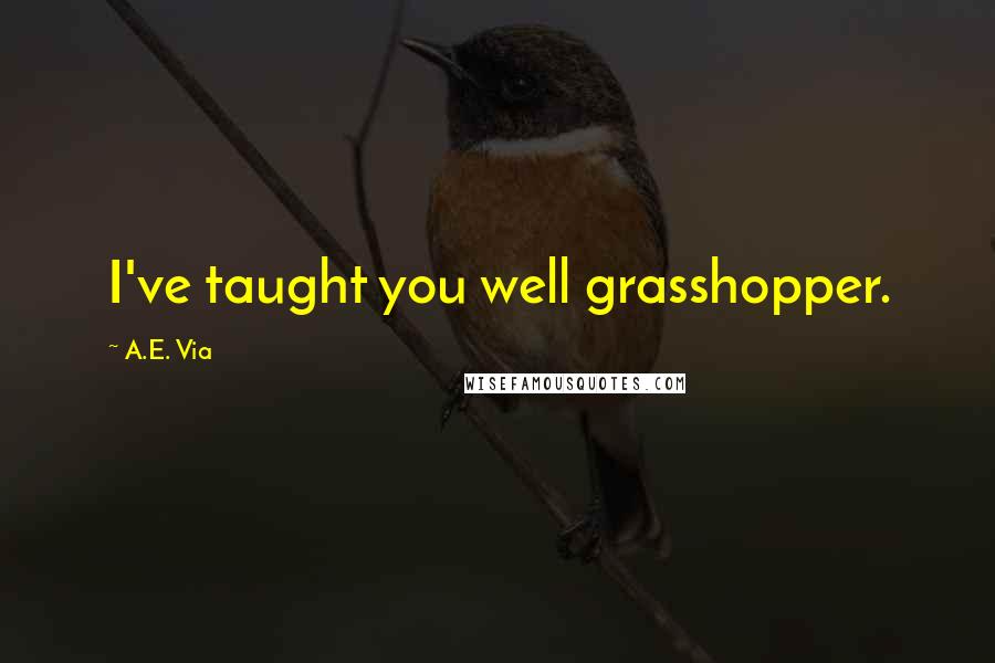 A.E. Via Quotes: I've taught you well grasshopper.