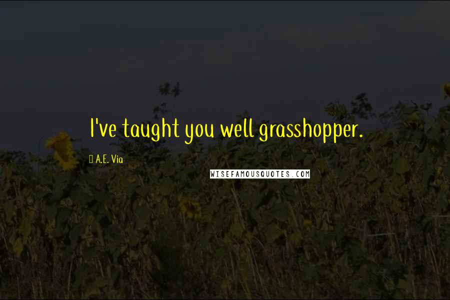 A.E. Via Quotes: I've taught you well grasshopper.