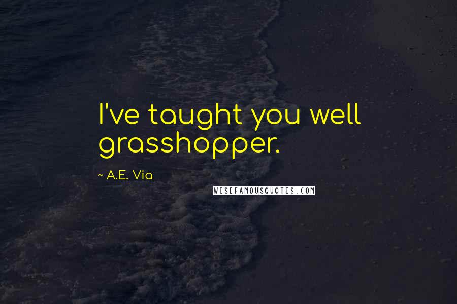 A.E. Via Quotes: I've taught you well grasshopper.