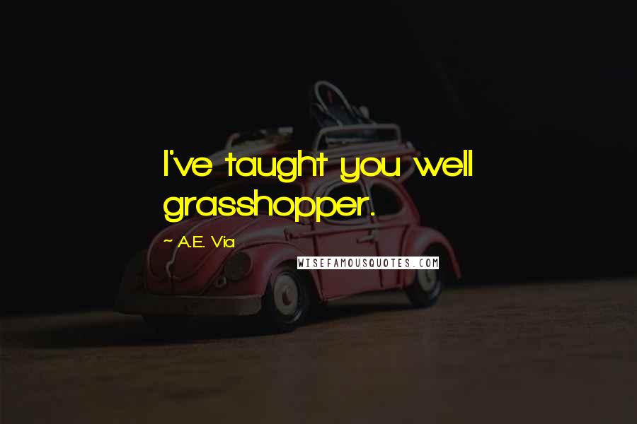 A.E. Via Quotes: I've taught you well grasshopper.