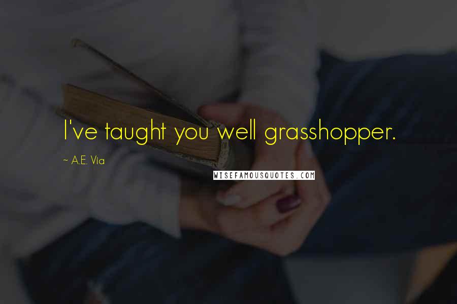 A.E. Via Quotes: I've taught you well grasshopper.