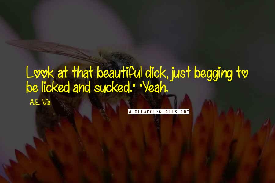 A.E. Via Quotes: Look at that beautiful dick, just begging to be licked and sucked." "Yeah.