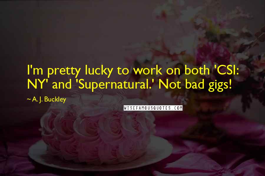 A. J. Buckley Quotes: I'm pretty lucky to work on both 'CSI: NY' and 'Supernatural.' Not bad gigs!
