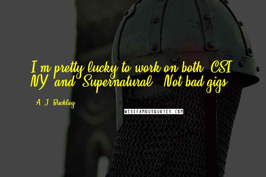 A. J. Buckley Quotes: I'm pretty lucky to work on both 'CSI: NY' and 'Supernatural.' Not bad gigs!