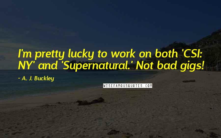 A. J. Buckley Quotes: I'm pretty lucky to work on both 'CSI: NY' and 'Supernatural.' Not bad gigs!