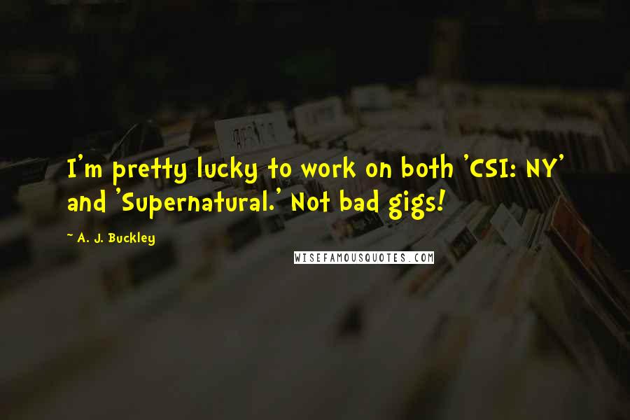A. J. Buckley Quotes: I'm pretty lucky to work on both 'CSI: NY' and 'Supernatural.' Not bad gigs!