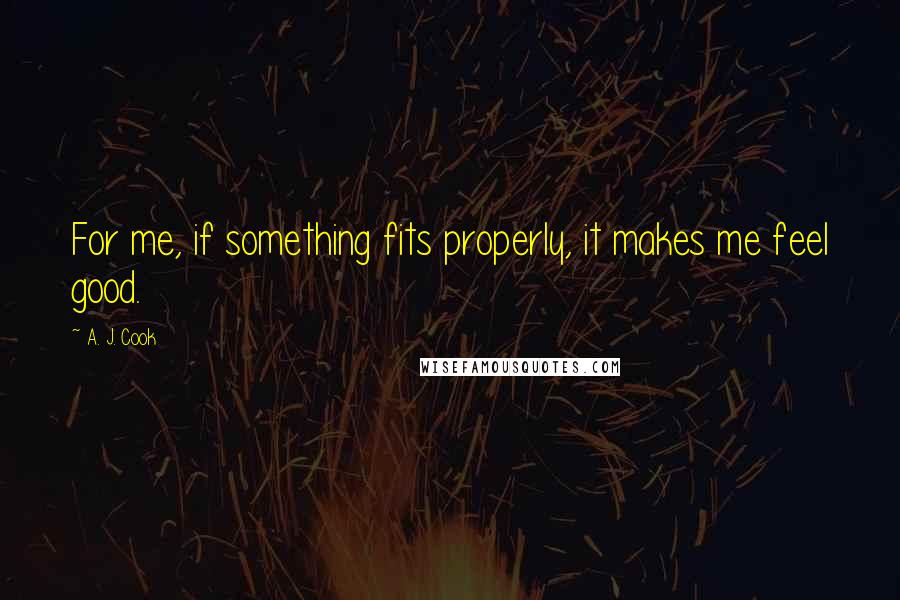 A. J. Cook Quotes: For me, if something fits properly, it makes me feel good.