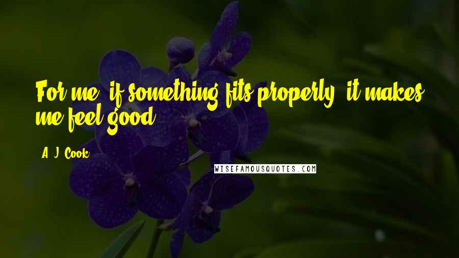 A. J. Cook Quotes: For me, if something fits properly, it makes me feel good.