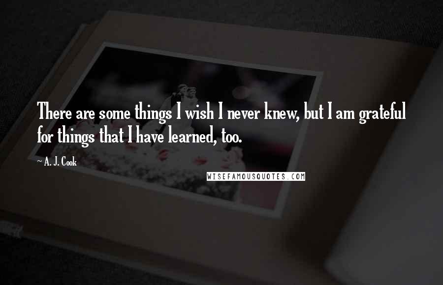 A. J. Cook Quotes: There are some things I wish I never knew, but I am grateful for things that I have learned, too.