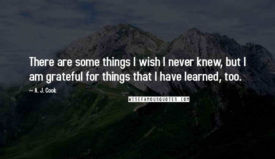 A. J. Cook Quotes: There are some things I wish I never knew, but I am grateful for things that I have learned, too.