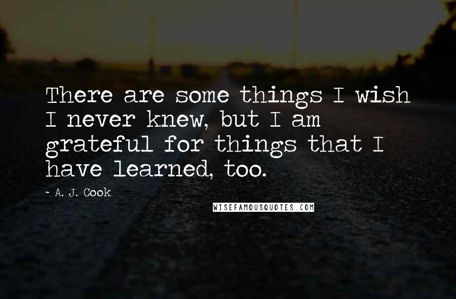 A. J. Cook Quotes: There are some things I wish I never knew, but I am grateful for things that I have learned, too.