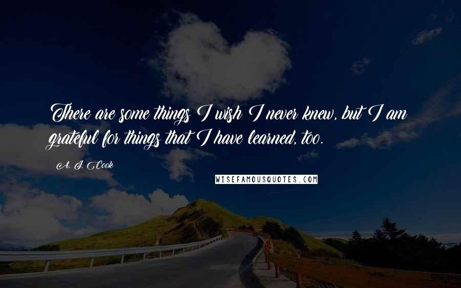 A. J. Cook Quotes: There are some things I wish I never knew, but I am grateful for things that I have learned, too.