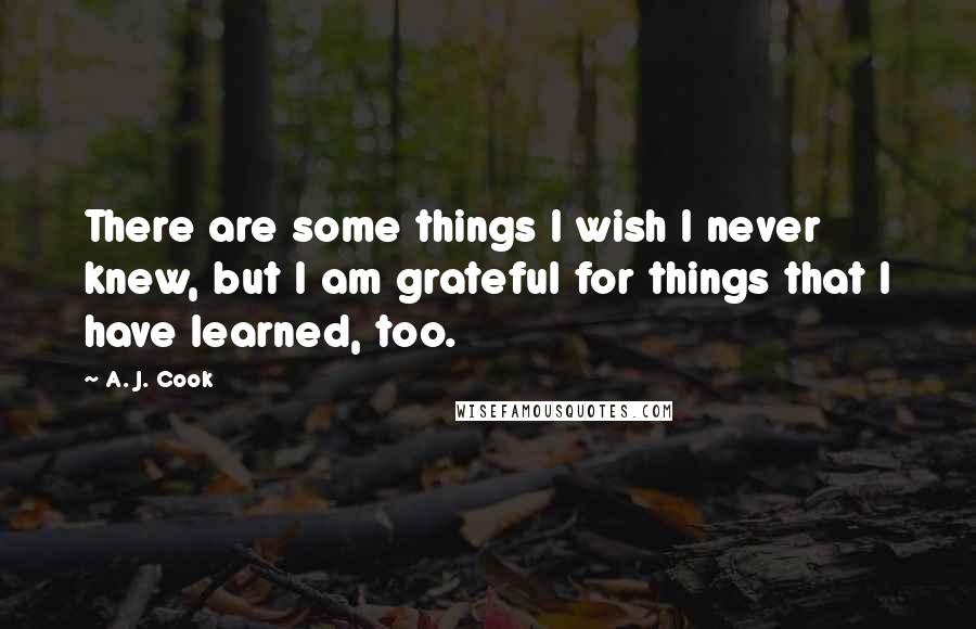 A. J. Cook Quotes: There are some things I wish I never knew, but I am grateful for things that I have learned, too.