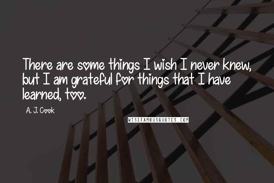 A. J. Cook Quotes: There are some things I wish I never knew, but I am grateful for things that I have learned, too.