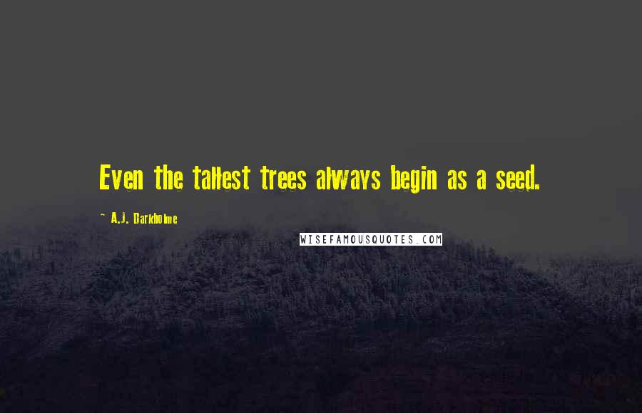 A.J. Darkholme Quotes: Even the tallest trees always begin as a seed.