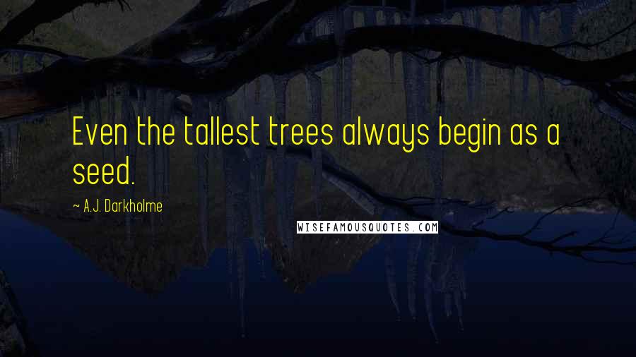 A.J. Darkholme Quotes: Even the tallest trees always begin as a seed.