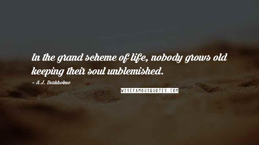 A.J. Darkholme Quotes: In the grand scheme of life, nobody grows old keeping their soul unblemished.