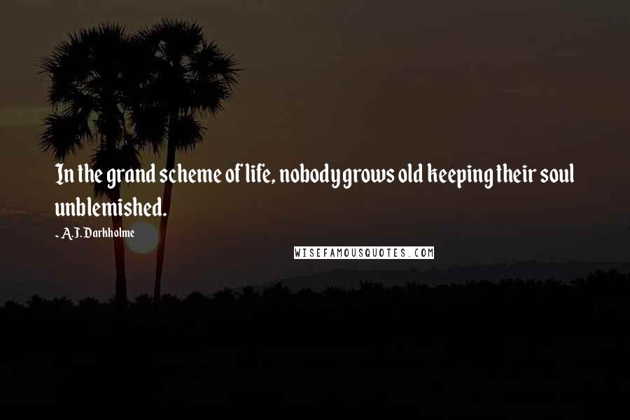 A.J. Darkholme Quotes: In the grand scheme of life, nobody grows old keeping their soul unblemished.