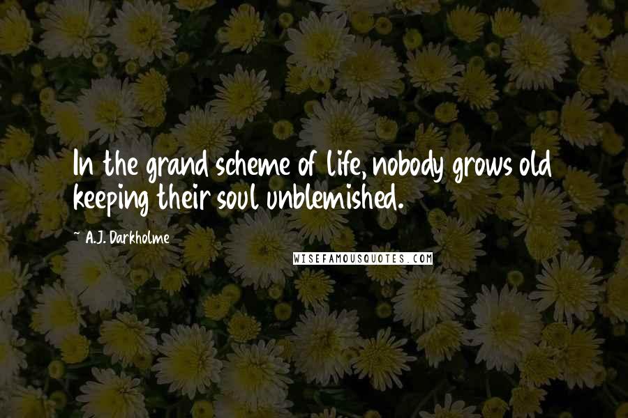 A.J. Darkholme Quotes: In the grand scheme of life, nobody grows old keeping their soul unblemished.