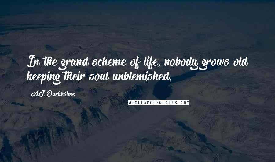 A.J. Darkholme Quotes: In the grand scheme of life, nobody grows old keeping their soul unblemished.