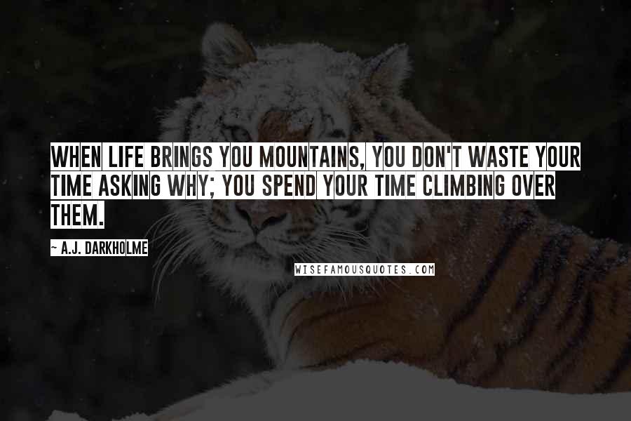 A.J. Darkholme Quotes: When life brings you mountains, you don't waste your time asking why; you spend your time climbing over them.