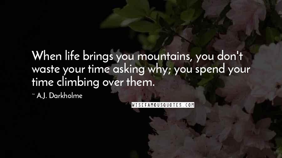 A.J. Darkholme Quotes: When life brings you mountains, you don't waste your time asking why; you spend your time climbing over them.
