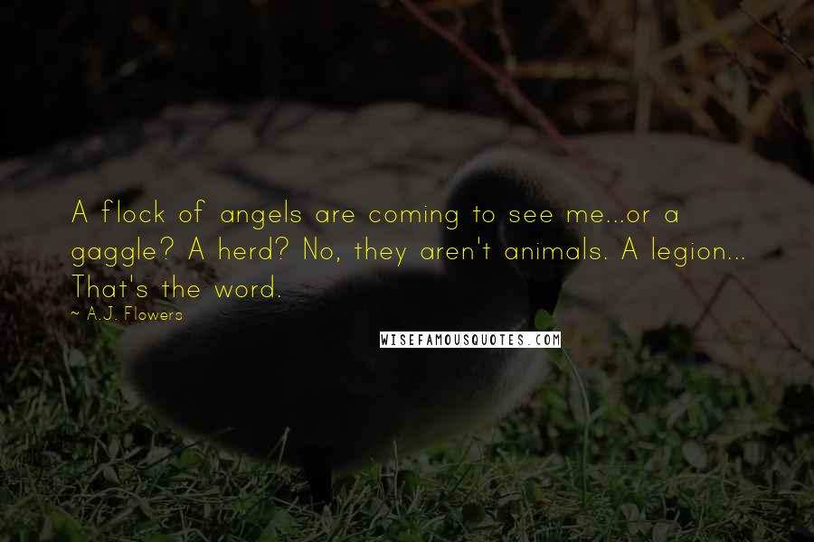 A.J. Flowers Quotes: A flock of angels are coming to see me...or a gaggle? A herd? No, they aren't animals. A legion... That's the word.