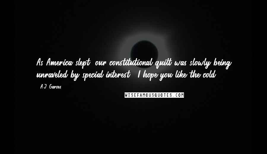 A.J. Garces Quotes: As America slept, our constitutional quilt was slowly being unraveled by special interest... I hope you like the cold.