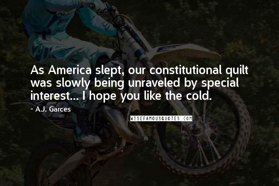 A.J. Garces Quotes: As America slept, our constitutional quilt was slowly being unraveled by special interest... I hope you like the cold.