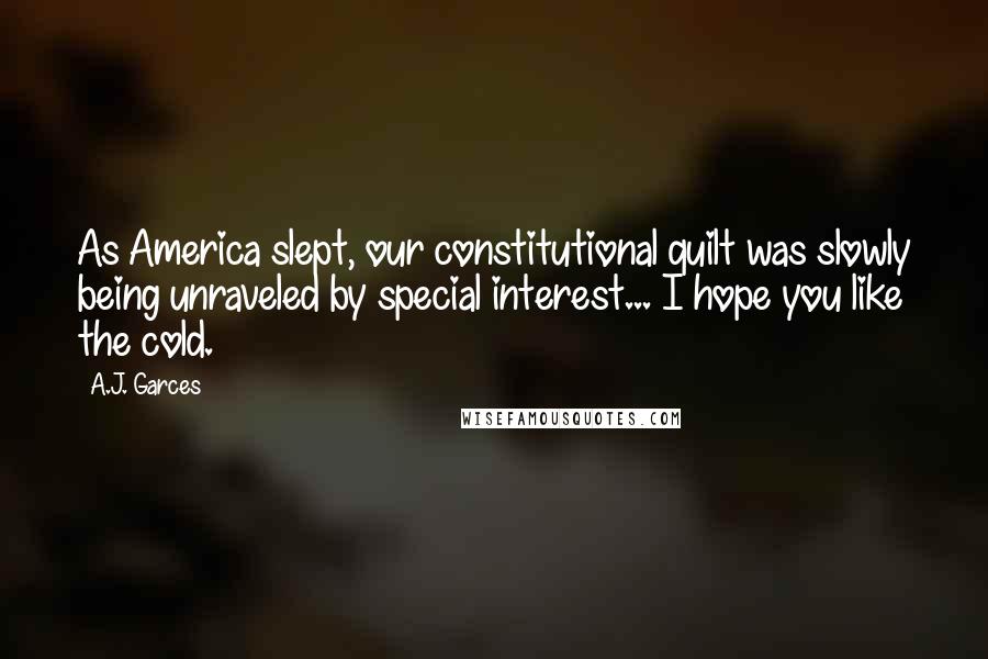 A.J. Garces Quotes: As America slept, our constitutional quilt was slowly being unraveled by special interest... I hope you like the cold.