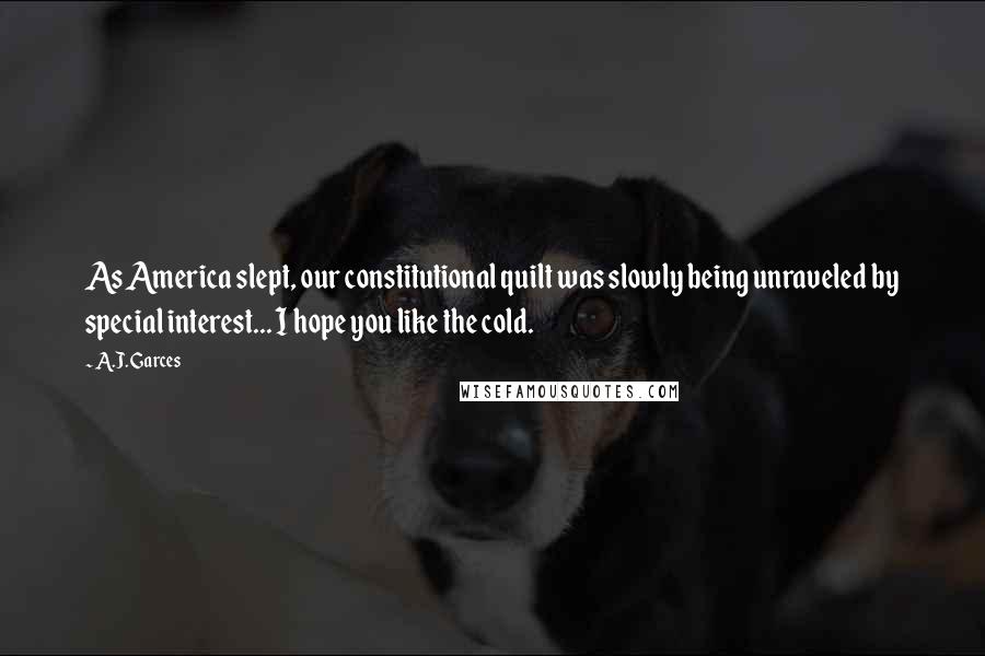 A.J. Garces Quotes: As America slept, our constitutional quilt was slowly being unraveled by special interest... I hope you like the cold.