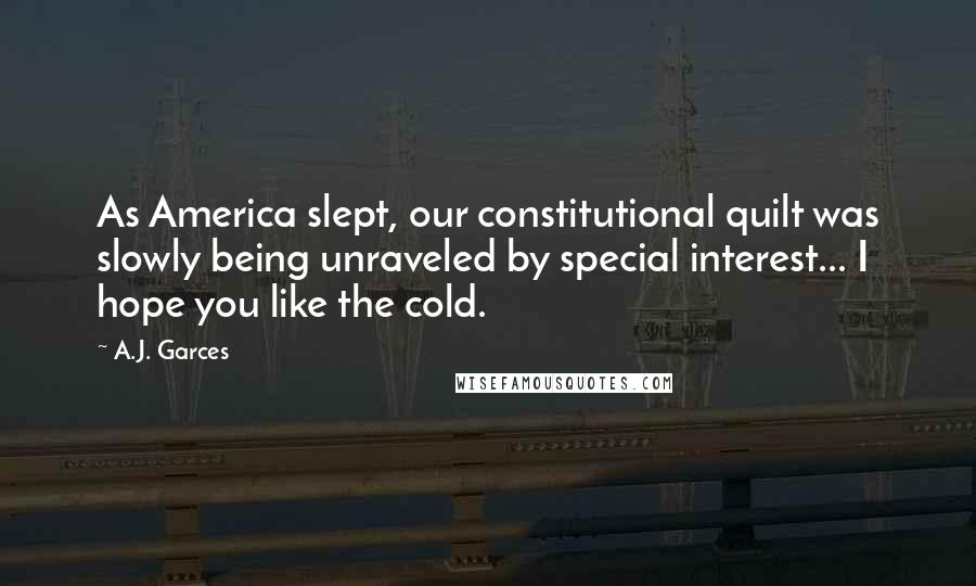 A.J. Garces Quotes: As America slept, our constitutional quilt was slowly being unraveled by special interest... I hope you like the cold.