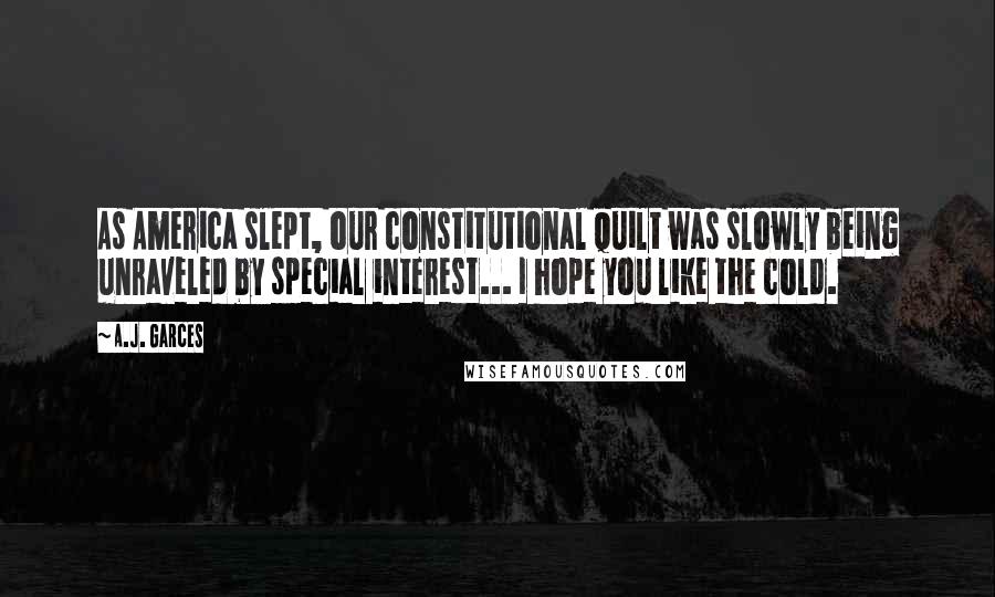 A.J. Garces Quotes: As America slept, our constitutional quilt was slowly being unraveled by special interest... I hope you like the cold.