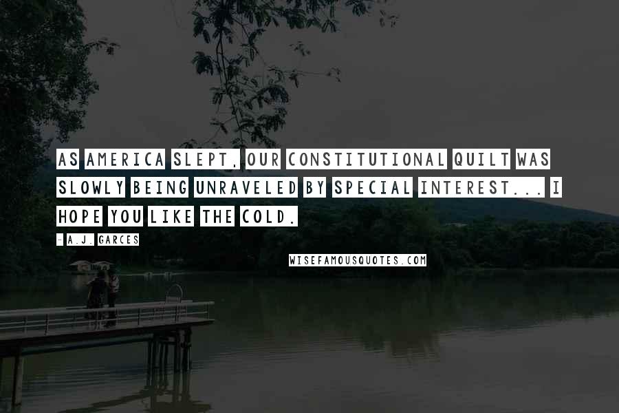 A.J. Garces Quotes: As America slept, our constitutional quilt was slowly being unraveled by special interest... I hope you like the cold.