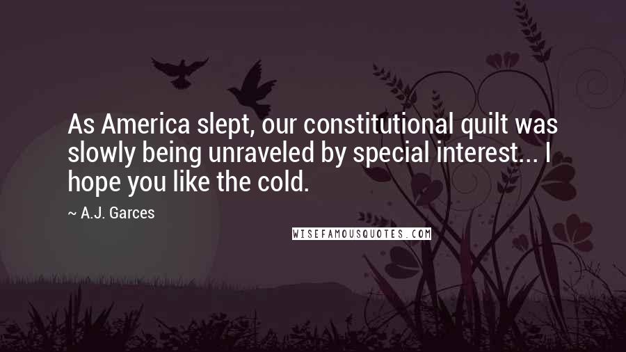 A.J. Garces Quotes: As America slept, our constitutional quilt was slowly being unraveled by special interest... I hope you like the cold.