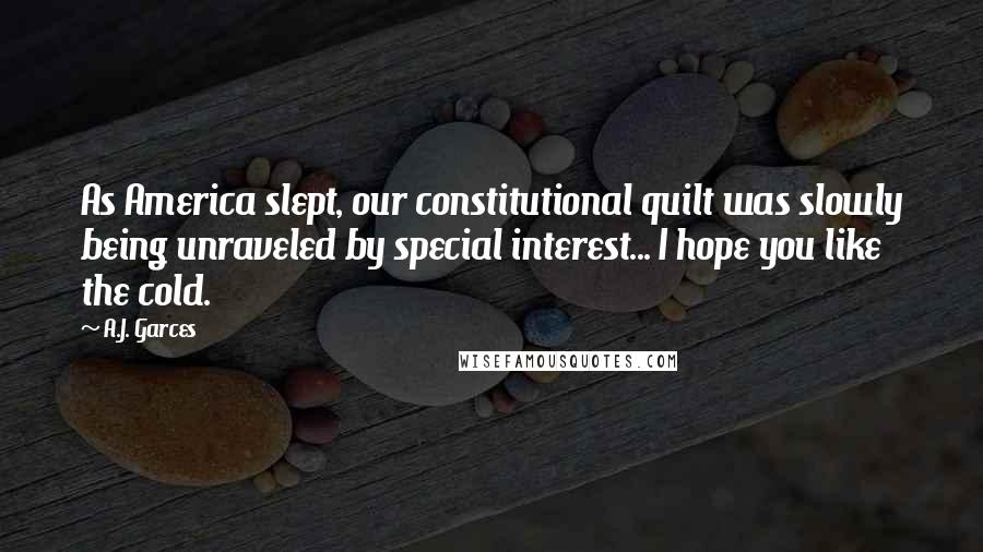 A.J. Garces Quotes: As America slept, our constitutional quilt was slowly being unraveled by special interest... I hope you like the cold.