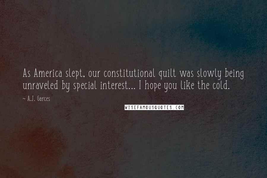 A.J. Garces Quotes: As America slept, our constitutional quilt was slowly being unraveled by special interest... I hope you like the cold.