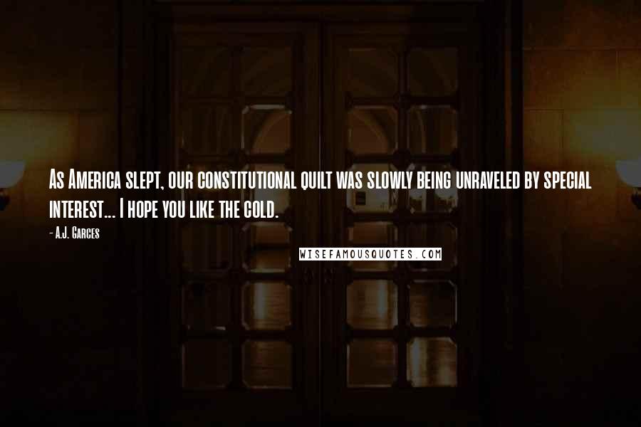 A.J. Garces Quotes: As America slept, our constitutional quilt was slowly being unraveled by special interest... I hope you like the cold.