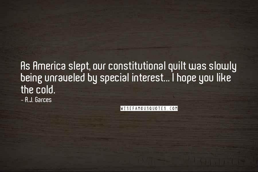 A.J. Garces Quotes: As America slept, our constitutional quilt was slowly being unraveled by special interest... I hope you like the cold.