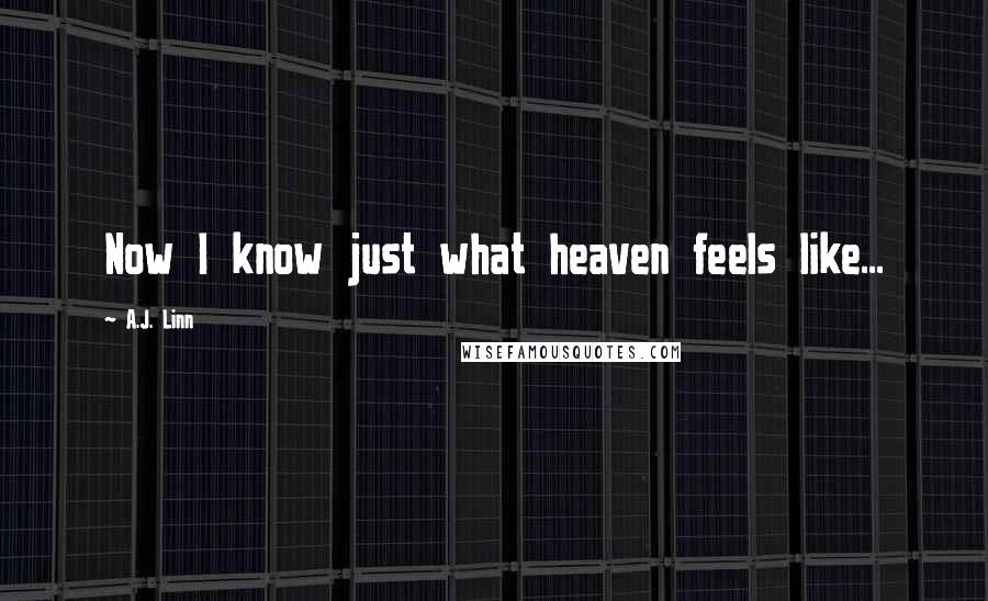 A.J. Linn Quotes: Now I know just what heaven feels like...