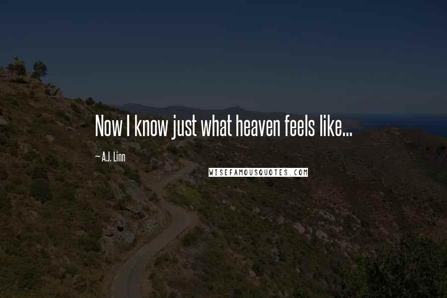 A.J. Linn Quotes: Now I know just what heaven feels like...