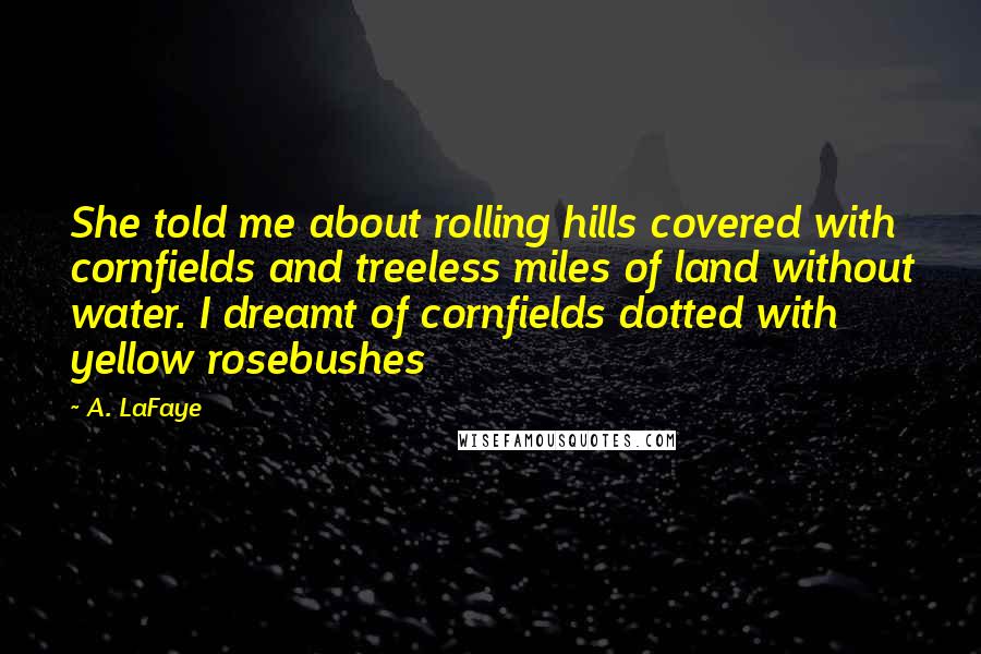 A. LaFaye Quotes: She told me about rolling hills covered with cornfields and treeless miles of land without water. I dreamt of cornfields dotted with yellow rosebushes
