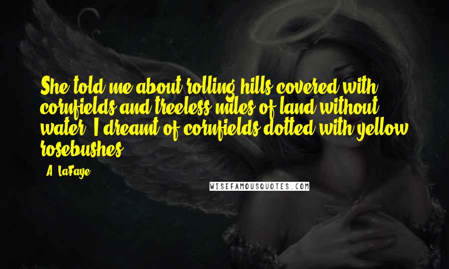 A. LaFaye Quotes: She told me about rolling hills covered with cornfields and treeless miles of land without water. I dreamt of cornfields dotted with yellow rosebushes