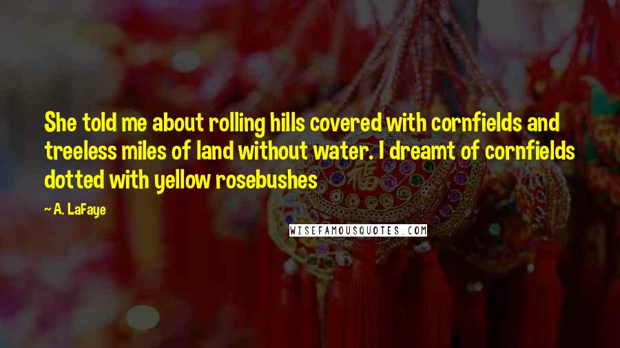 A. LaFaye Quotes: She told me about rolling hills covered with cornfields and treeless miles of land without water. I dreamt of cornfields dotted with yellow rosebushes