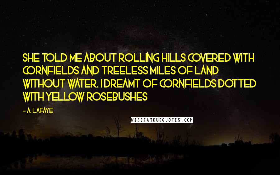 A. LaFaye Quotes: She told me about rolling hills covered with cornfields and treeless miles of land without water. I dreamt of cornfields dotted with yellow rosebushes